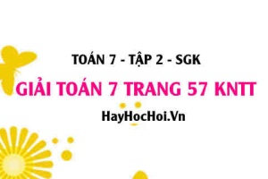 Giải Toán 7 trang 57 tập 2 Kết nối tri thức